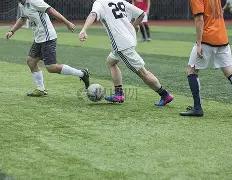 阿德耶米进,多特蒙德与,波鸿战成平,新葡京,新葡京app,新葡京娱乐,新普京赌场