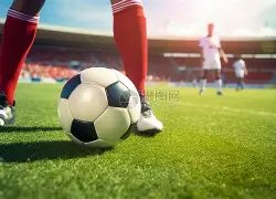 上田绮世,信心满满,瞄准巴林进,新葡京,新葡京app,新葡京娱乐,新普京赌场