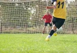 广西新闻网,体育明星风,新葡京,新葡京,新葡京app,新葡京娱乐,新普京赌场