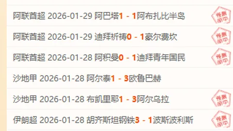 激情对决，伯明翰力克西布罗姆维奇！英冠赛场上16胜12荣耀篇章！